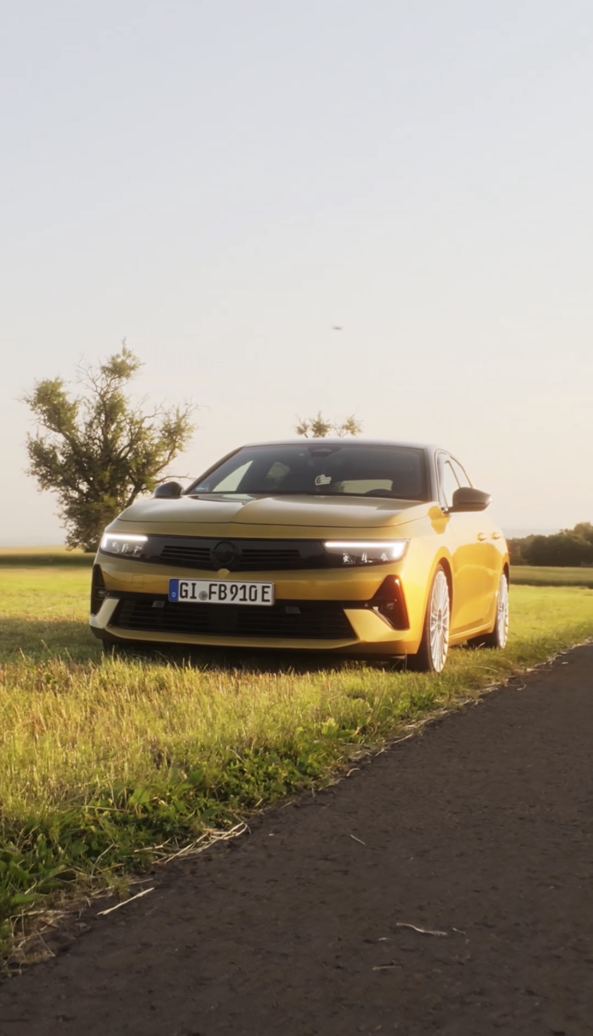 Astra auf der wies☀️