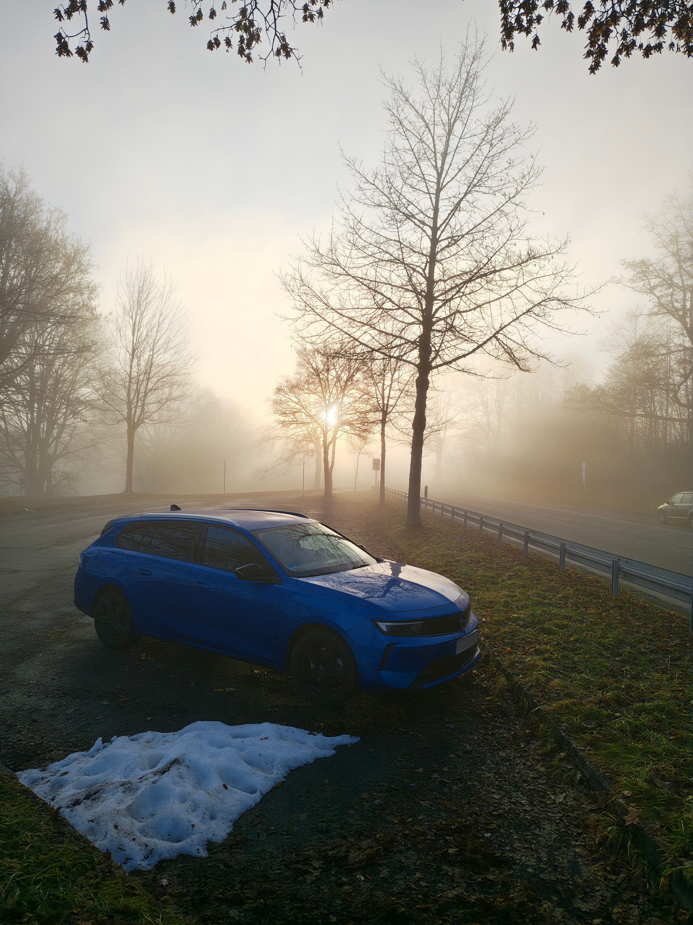 Bei diffusem Licht durch den Nebel passt der kobaltblaue Astra farblich ...