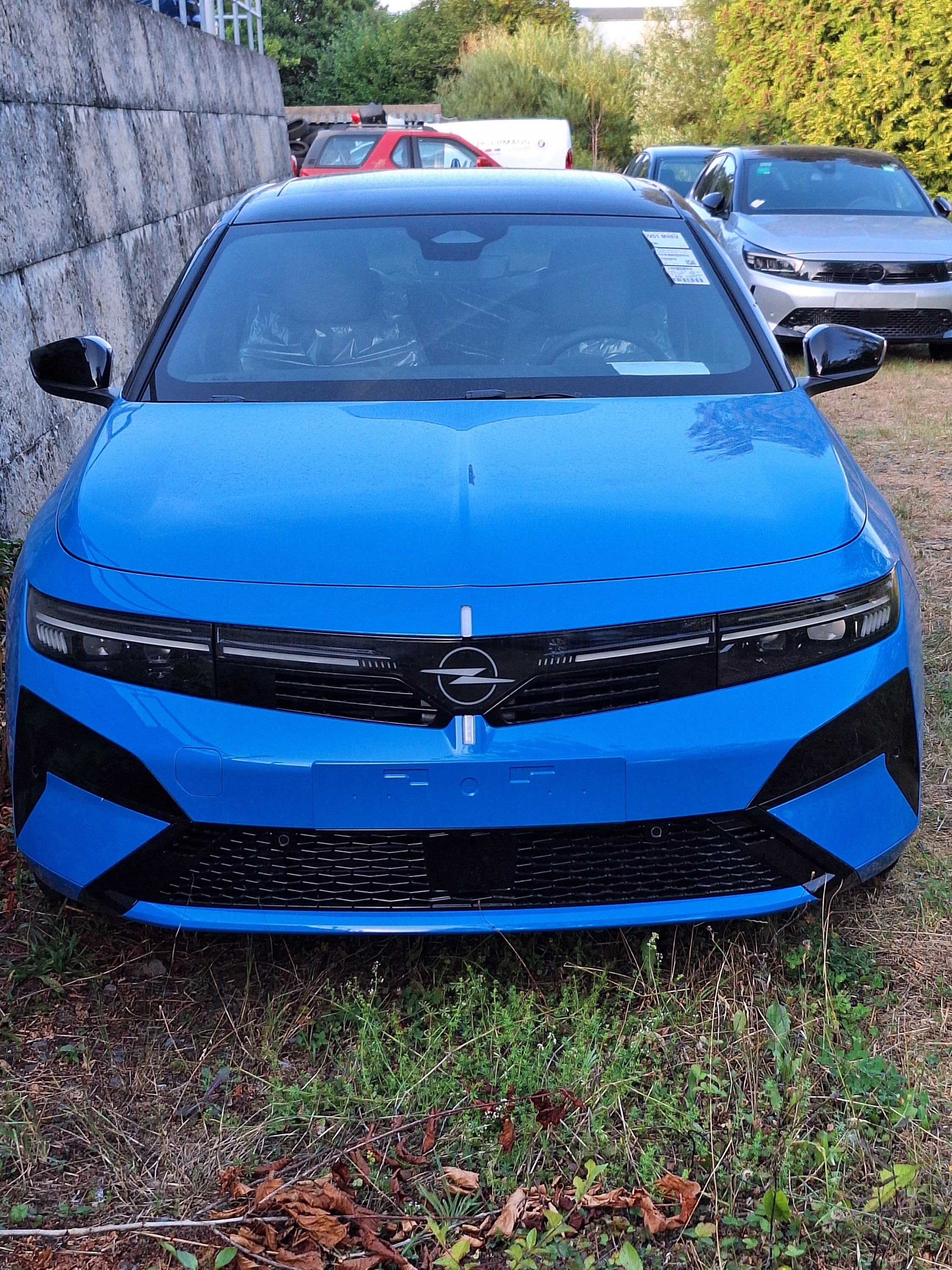 Da isser der Blaue